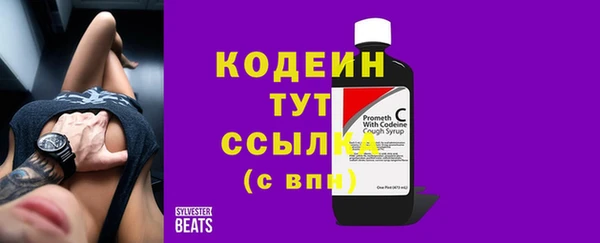 дмт Абаза
