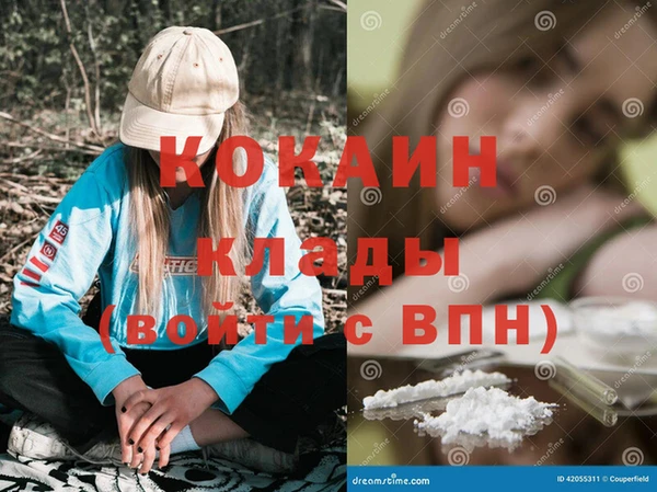 дмт Абаза